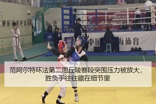 fan-a-er-te-huan-fa-di-er-zhou-qiu-ling-sai-duan-tu-wei-ya-li-bei-fang-da-sheng-fu-shou-wang-wang-cang-zai-xi-jie-li-2-813.jpg
